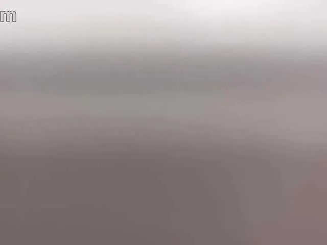 Freechat -FoxAlisa- on BongaCams