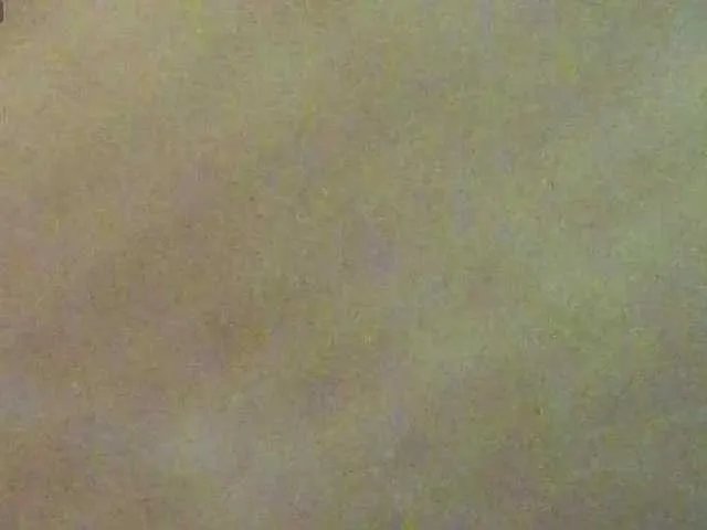 Offline BlondieGirl on BongaCams