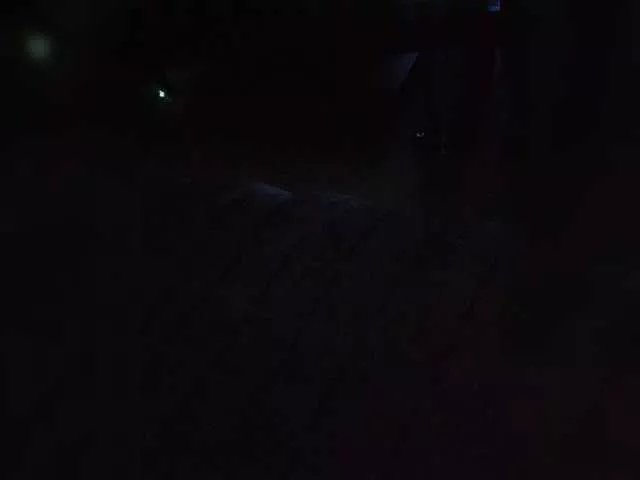 Offline Dimon777777777-2 on BongaCams