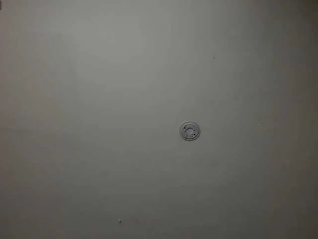 Offline FernandaX1 on BongaCams