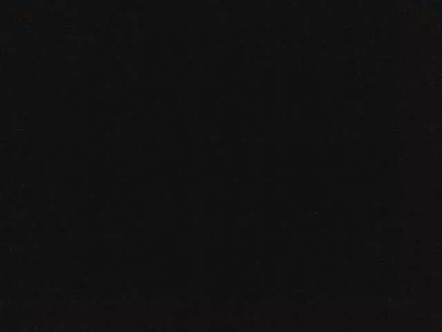 Offline Laurien on BongaCams