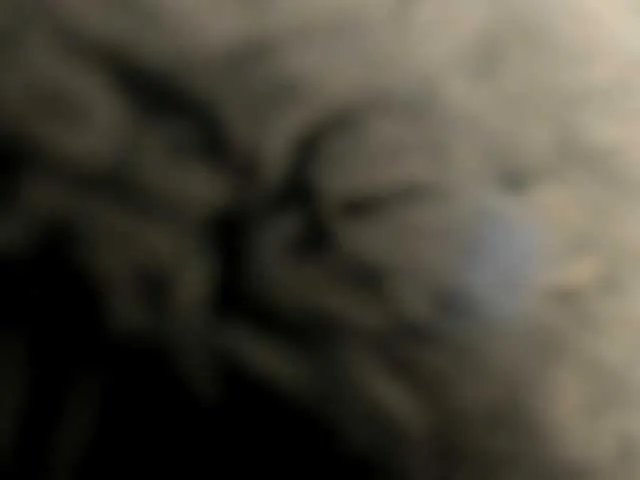 MaddieParker on BongaCams