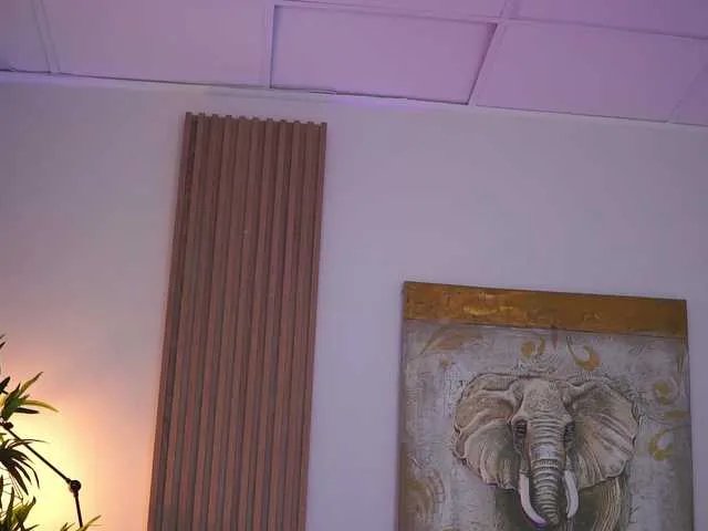 Offline NinnaVoss on BongaCams