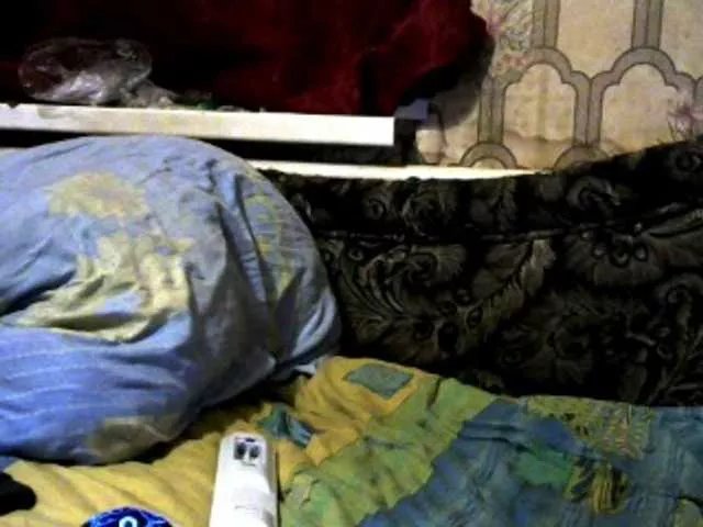 Offline REPTILIAY on BongaCams