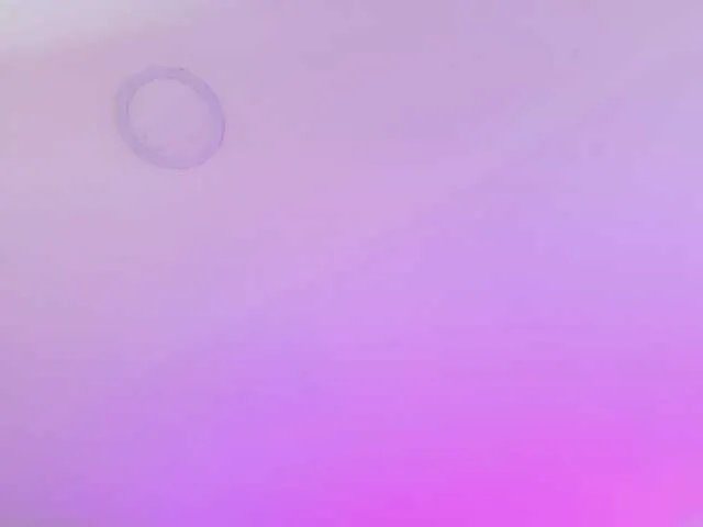 Offline SophieCarther on BongaCams