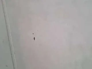 Offline 1maybeck on CamSoda