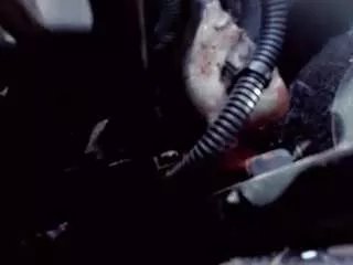 Offline 808sweets on CamSoda