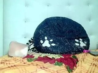 analsexy69x on CamSoda 