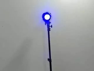 Offline chloemiller-ts on CamSoda