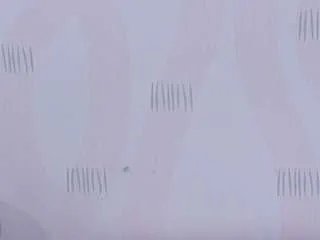 Offline cutepetitee on CamSoda