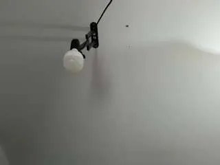 Offline emiliaa-rosse on CamSoda