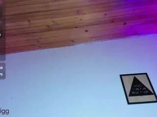 Offline harmony-big-breasts on CamSoda