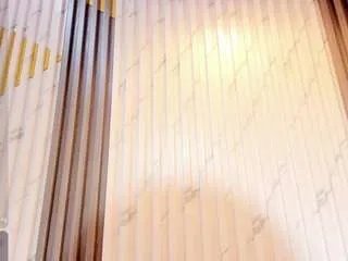 Freechat katherynvidal on CamSoda