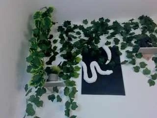 Freechat nataliepeterson on CamSoda