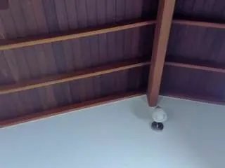 Offline samy-guerraa on CamSoda