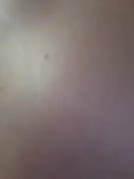 AmmyHot on StripChat