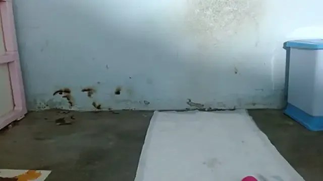 Freechat Boi_Boi2x on StripChat