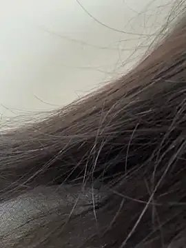 Freechat Sophie__Foxxx on StripChat