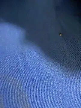 Freechat United3 on StripChat